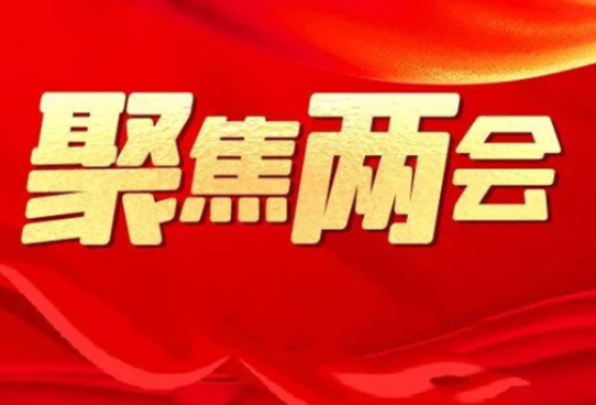 聚力发展献良策 奏响建言最强音——2024年永州市政协提案工作综述