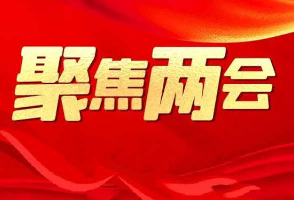 聚力发展献良策 奏响建言最强音——2024年永州市政协提案工作综述
