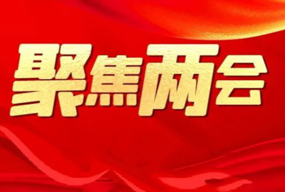 谢景林参加政协永州市六届四次会议无党派人士、文艺界分组讨论