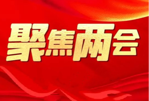 聚卓识 谋新篇 参加永州市六届人大四次会议的各代表团认真审议政府工作报告