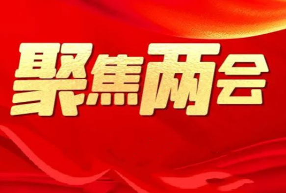 建睿智之言 献发展之策 永州市政协委员进行第二次分组讨论