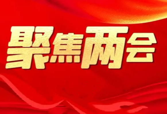蒋强先参加江华代表团讨论：彰显瑶都担当 助推永州发展
