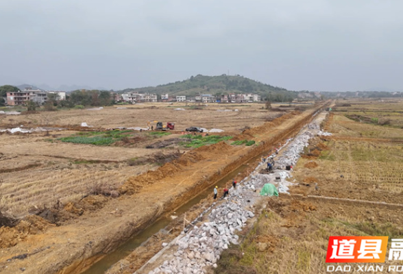 道县：全村“小田并大田” “碎地”连片不荒一块田