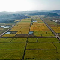 永州旅发大会：祁阳特色农业点亮文旅新景