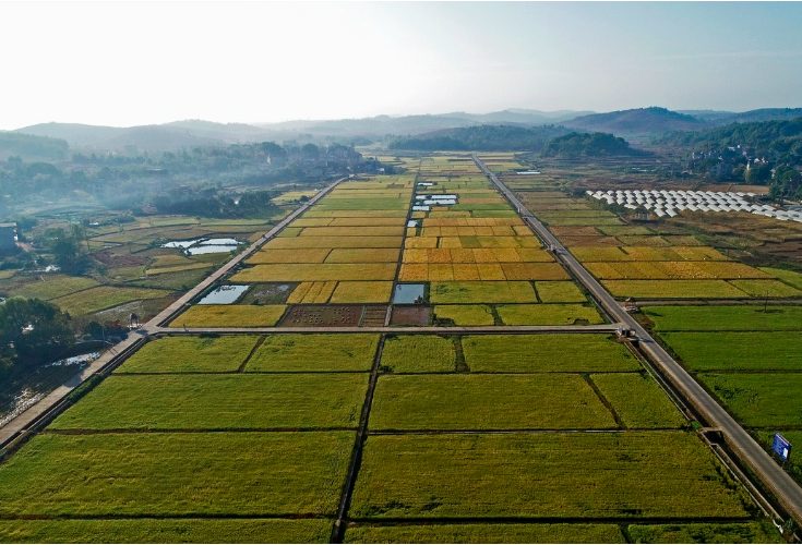 永州旅发大会：祁阳特色农业点亮文旅新景