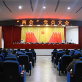 县市区两会丨江永：两会党员大会召开