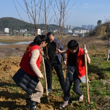 永州市城管执法局开展城市绿化月义务植树活动