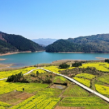 永州十场花事丨湖南新田：一半是花海一半是湖水 这边风景别样美