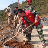 江永县兰溪瑶族乡：党群合力植树 守护绿水青山