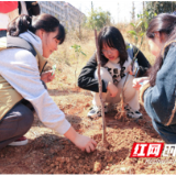湖南科技学院开展植树节义务植树活动