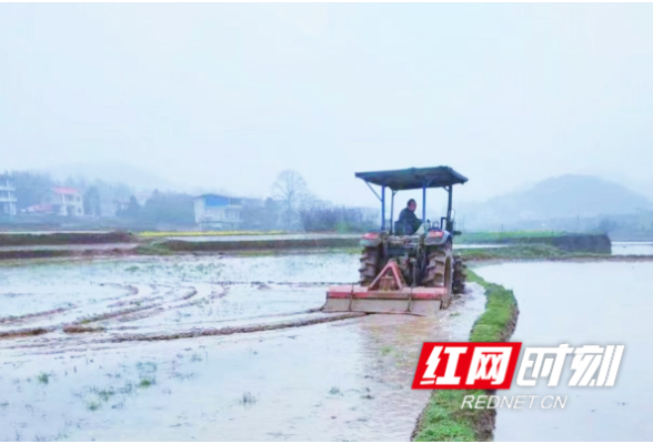 东安县：春耕好时节 稻田翻耕忙