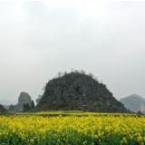 视频丨湖南新田：当油菜花遇上喀斯特地貌 相映成景彰显独特魅力