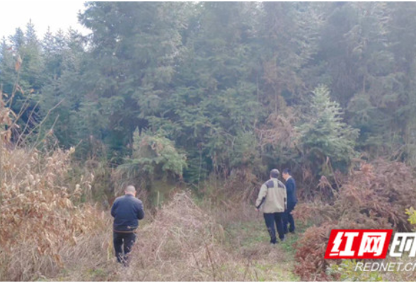 东安：持续推进耕地恢复 严守耕地红线