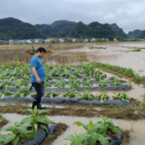 江永县夏层铺镇：干群齐动手 抗灾保丰收