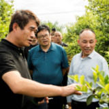 祁阳市林业局组团到外地学习油茶种植技术