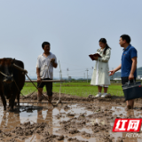 江永：“三湘护农”打通服务群众最后一米