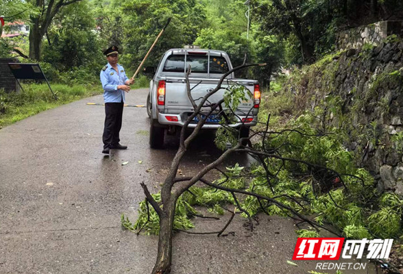 东安：打好道路交通安全“组合拳” 营造安全畅通道路交通环境