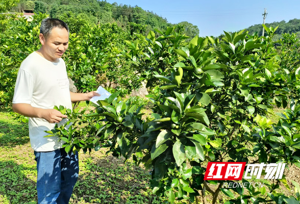 东安县：促进残疾人事业高质量发展