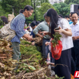 永州江华：瑶医药立法通过 护航瑶医药高质量发展