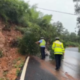 暴雨保畅通 祁阳巡逻交警清理拦路树