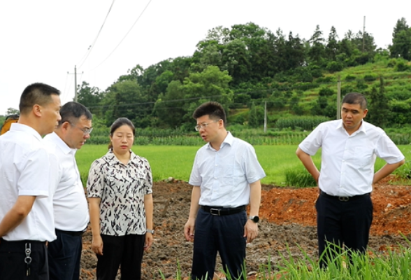 东安：蒋华调研高标准农田建设工作