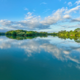 湖南道县：生态湿地景如画（组图）