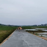 新田：抢抓施工黄金期 乡村道路建设忙