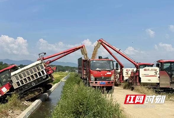 东安：粮食生产助力优化营商环境