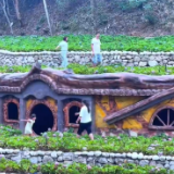 视频丨永州夏天的尾巴，就藏在双牌阳明山里