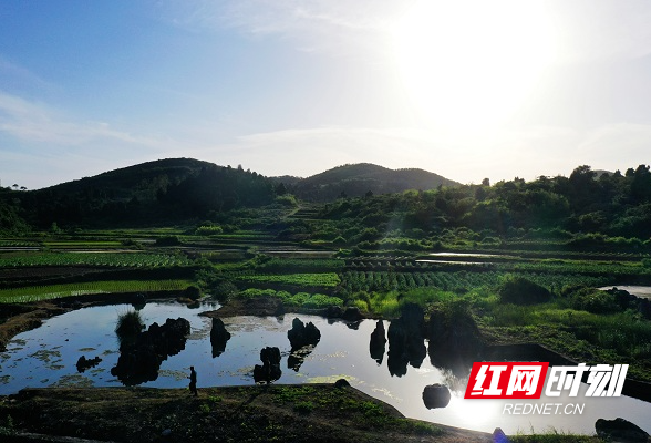 新田：《让水利遗产在保护利用中“活”起来》入选“献策湖南”十大金点子