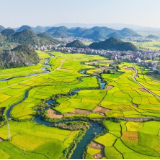 湖南新田：南国武当山下稻浪千重美如画（组图）