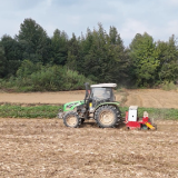 道县:大力推广油菜精量直播 农技服务力促单产提升面积稳增