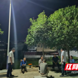 国网湖南电力驻村工作队：点亮回家路 温暖村民心