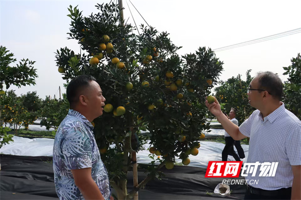微信图片_20251018161513.jpg