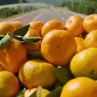 文化永州丨嶷山阿云：九分甜里十分爱