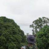 江永县夏层铺镇：无人机巡林护绿 织密智能化“防火网”