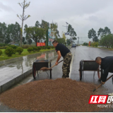 江永夏层铺镇：快速响应解民忧 高效处置暖人心