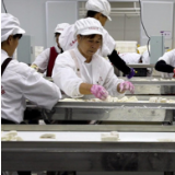 江永香芋产业再添新引擎“玲子芋”