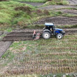 江永:以“早”破局 按下秋冬种“快进键”