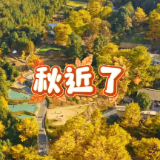 “球”进了，“秋”近了！湘超带你邂逅永州双牌桐子坳的秋