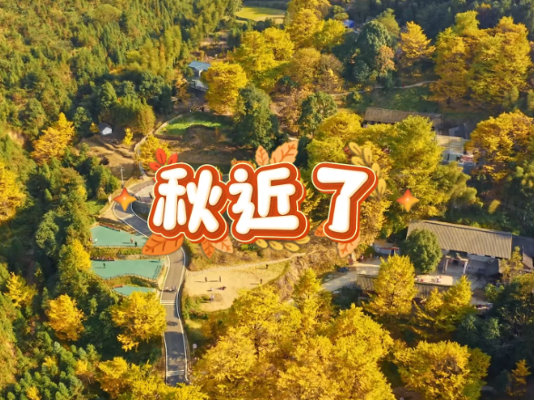 “球”进了,“秋”近了!湘超带你邂逅永州双牌桐子坳的秋