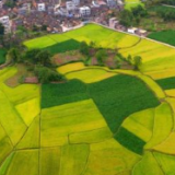 湖南江永：前三季度农业农村发展保持“双稳”势头