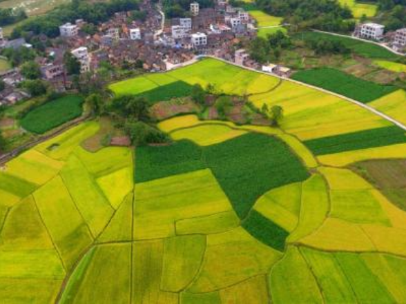 湖南江永：前三季度农业农村发展保持“双稳”势头