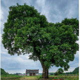 光影潇湘——潘华摄影里的永州诗行⑨