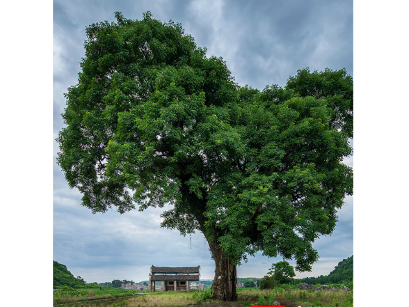 光影潇湘——潘华摄影里的永州诗行⑨