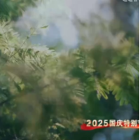 央视“三连响”,“唱不过祁阳”再添璀璨光芒