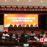 永州市护理学会第六届二次会员代表大会暨第六届五次理事会顺利召开