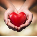 永州市人大:专题询问“校园餐”管理 守护学生舌尖安全