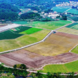 湖南新田：冬日春色田园如画（组图）