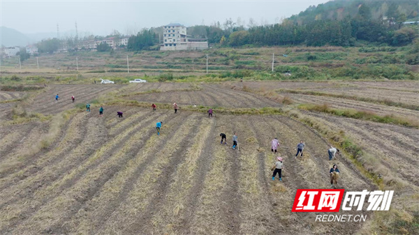 微信图片_20251114132824_5972_11.jpg 微信图片_20251114132824_5972_11.jpg